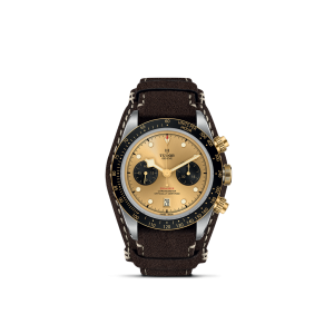 TUDOR Black Bay Chrono S&G